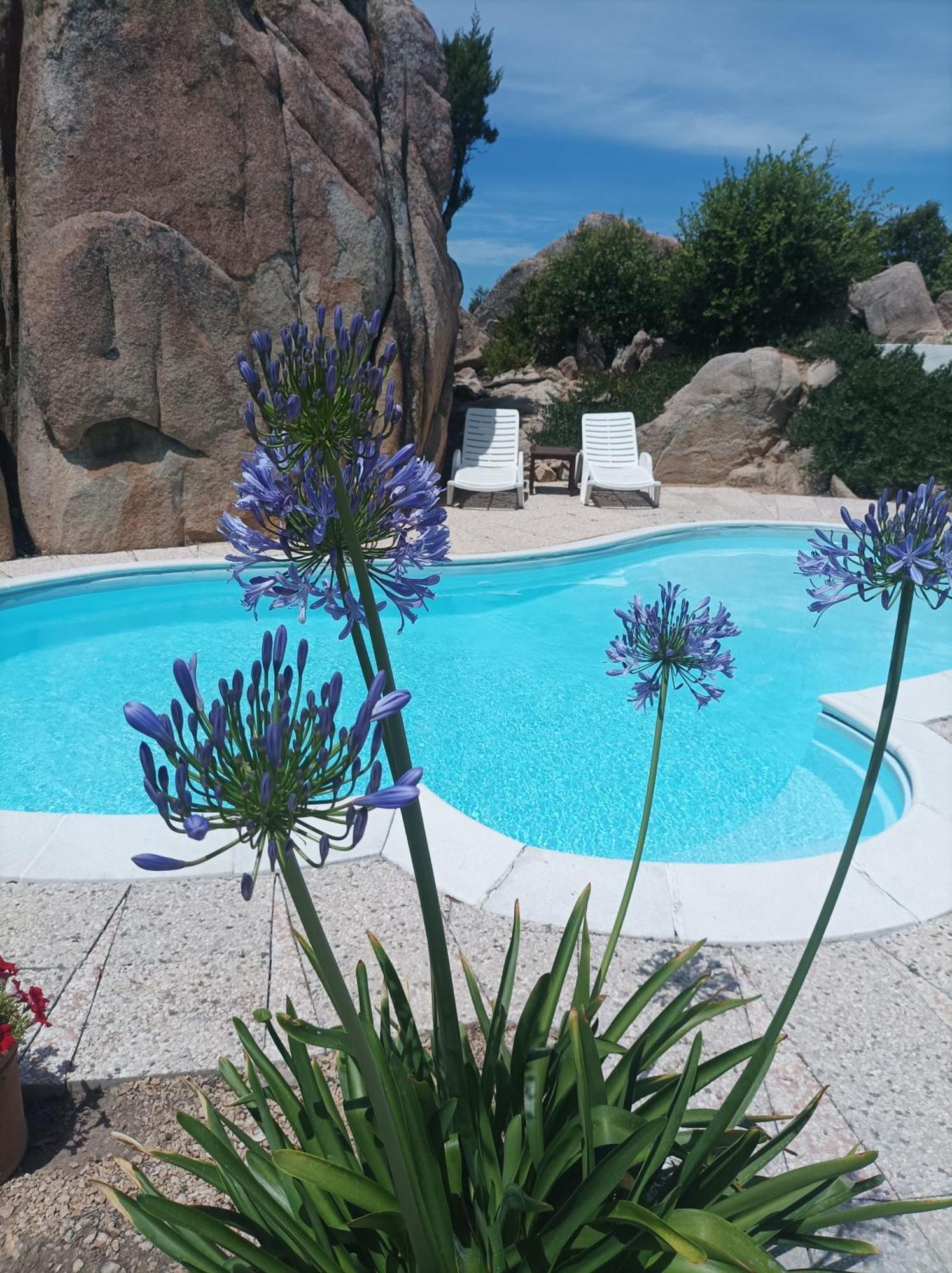 רנה מג'ורה Villa Majore Beb Con Piscina Privata מראה חיצוני תמונה